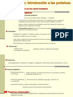 Aminoacidos, Estructura Proteinas y Funciones 