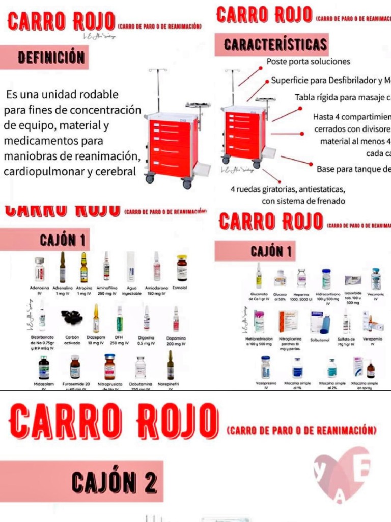 Carro Rojo PDF