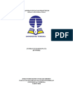 Praktikum Ipa - Gerak Lurus Beraturan - Nurhayun - 857593682