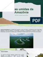 Áreas Umidas Da Amazônia e Ameaças