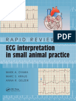 Rapid Review of ECG Interpretation in Small Animal Practice