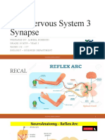 Nervous System 3