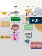 Homeostasis Concept Map