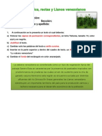 Gramática, rectas y Llanos venezolanos