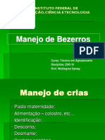 Manejo Da Bezerrada