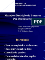 Manejo e nutrição de bezerras pré-ruminantes