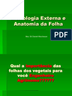 2009 Botanica Eli Danieli Morfologia Externa e Anatomia Da Folha