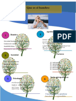 Infografia ¿Que Es El Hambre?