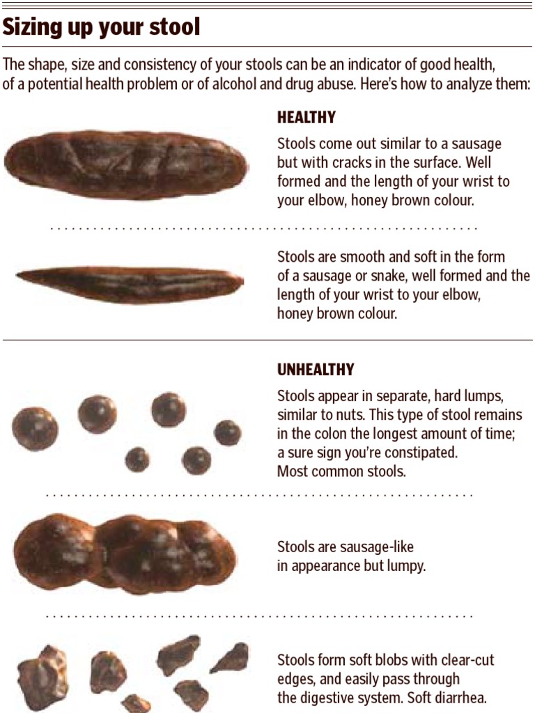 Stool Analysis for Health Insights | PDF | Self-Improvement | Lifestyle
