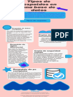 Tipos de Respaldos en Una Base de Datos