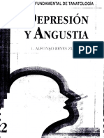 Depresión y Angustia - Luis Alfonso Reyes Zubiria