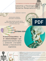Presentacion Anatomia Humana Medicina Con Diagramas