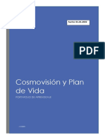 Cosmovisión y Plan de Vida333