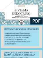 Sistema Endocrino