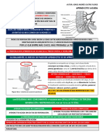 Apendicitis Aguda