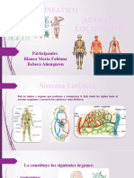 Exposicion Aparato Linfatico