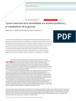 8 - Control Neuronal de La Resistencia A Insulina - En.es