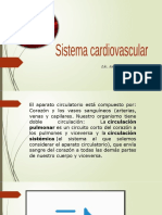 Sistema Cardiovascular