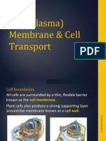 4. Cell Transport