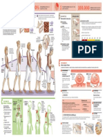 2010 Osteoporosis