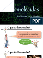 Biomoleculas Carboidratos e Lipidios Compressed