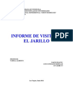 Informe Visita El Jarillo