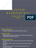 Sistem Reproduksi Manusia