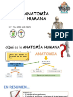 Anatomía para Rellenar para Anki