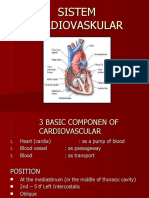 Sistem Kardiovaskular New