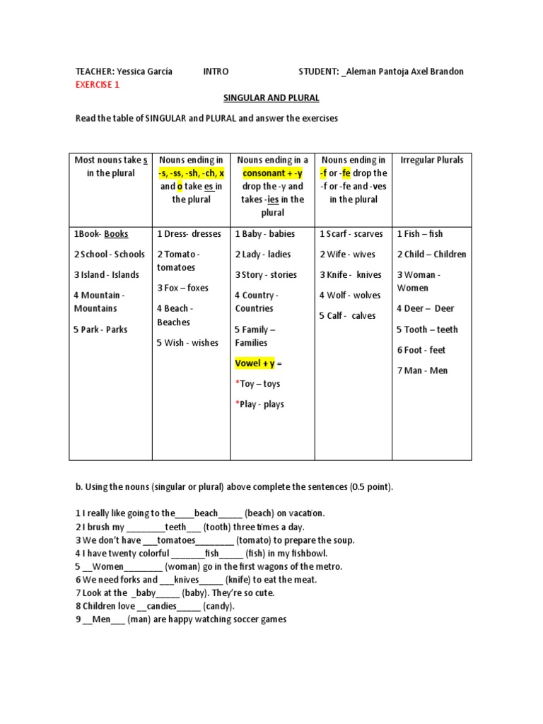 Singular and Plural Nouns Guide | PDF | Plural | Linguistic Typology