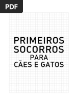 Manual Primeiros Socorros Bichanos