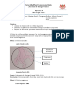 Reporte de Laboratorio #4