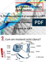 Compozitia Chimica Si Scructura Acizilor Nucleici