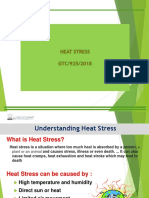 Understanding Heat Stress: Causes, Symptoms and First Aid