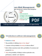 Software Risk Management: Chapter One