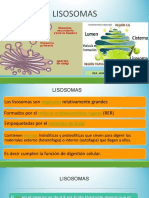 Peroxisomas y Mitocondrias