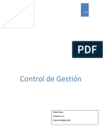 Control de Gestion