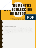 Diseño y Validación de Instrumentos de Recolección de Datos