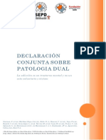 Declaracion-Conjunta Patologia Dual SEPD