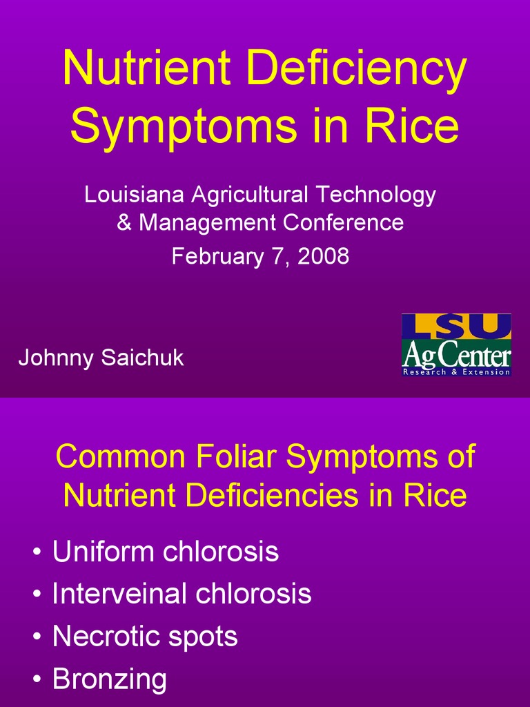 Nutrient Deficiency Symptoms in Rice: Louisiana Agricultural Technology ...