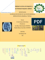 Solubilización de Fosfatos - Una Función Microbiana Importante en El Desarrollo Vegetal