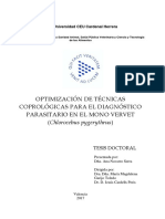 Optimización de Técnicas Coprológicas Para El Diagnóstico Parasitario en El Mono Vervet_Chlorocebus Pygerythrus_Tesis_Ana Navarro Serra