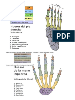 derecha