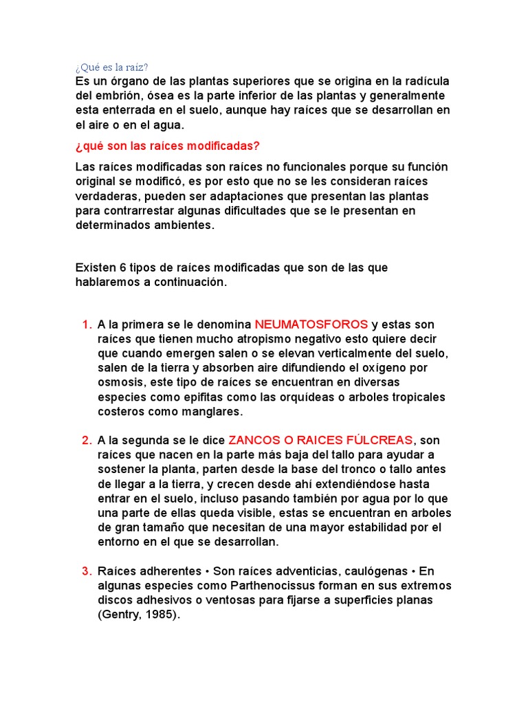 Tipos y funciones de raíces modificadas | PDF