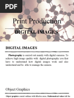 Print Production: Digital Images