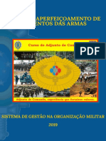 Sistema de Gestão na Organização Militar