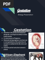 Gestation - Biology Presentation