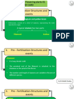 Sexual Reproduction in Flowering Plants Ncert Flash Card 01