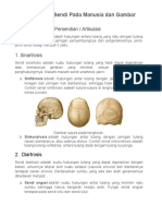 Biologi Sistem Gerak (Materi)