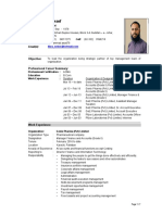 Professional Résumé Summary